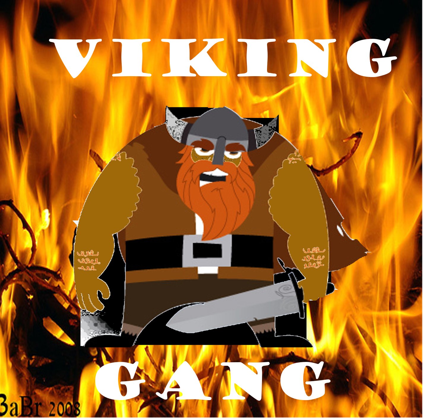 VIKING GANG